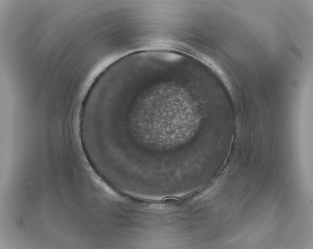 X0000110701480200907241115