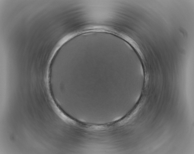 X0000110701482200907241115