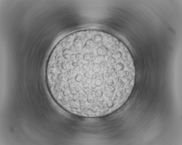 X0000110701483200907241115