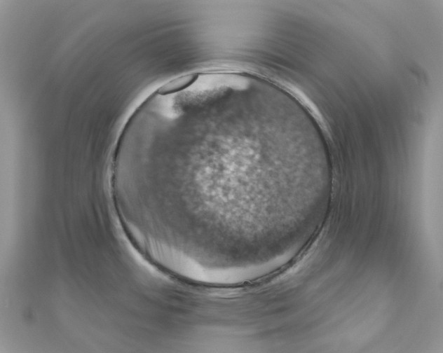 X0000110701484200907241115