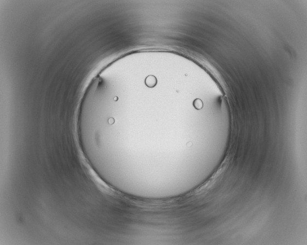 X0000110701485200907241115