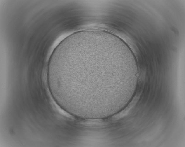 X0000110701486200907241115