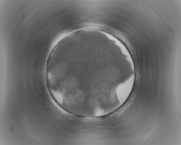X0000110701487200907241115