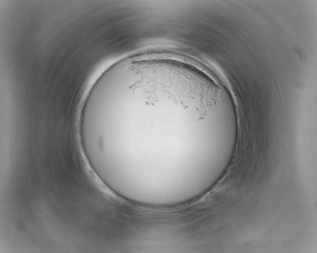 X0000110701488200907241115