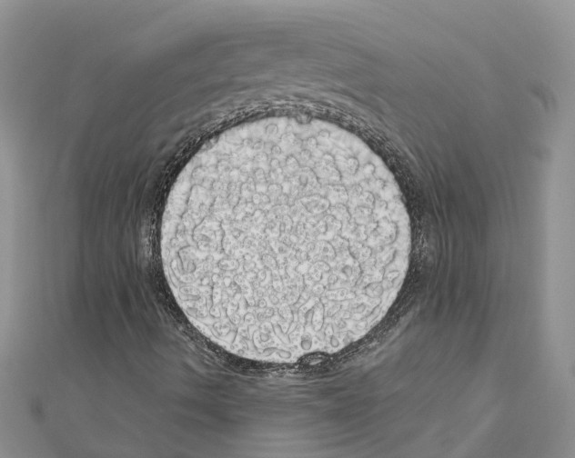 X0000110701490200907241114