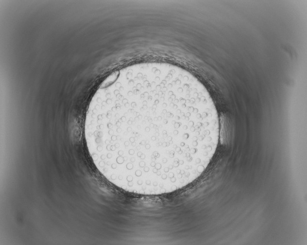 X0000110701491200907241114