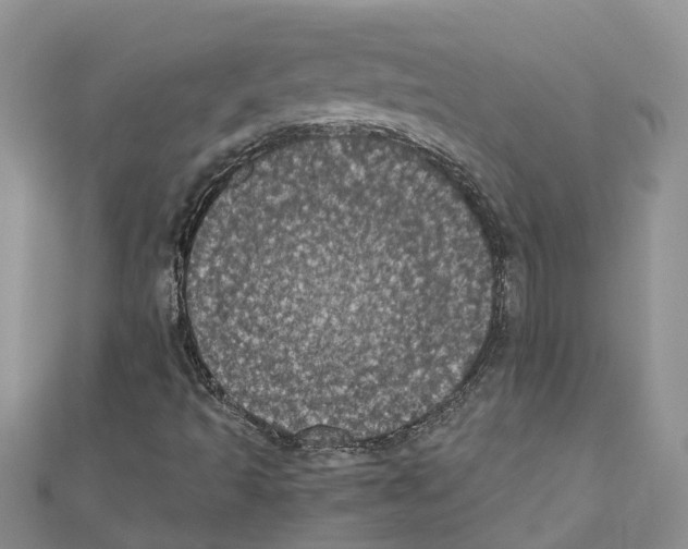 X0000110701493200907241114