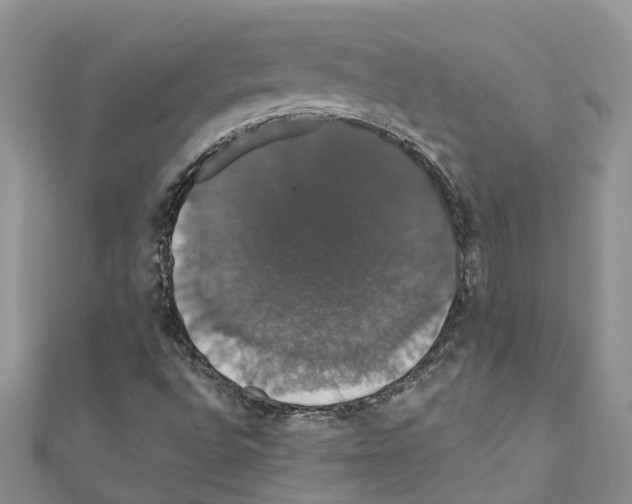 X0000110701496200907241114