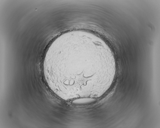 X0000110701497200907241114