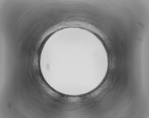 X0000110701498200907241114