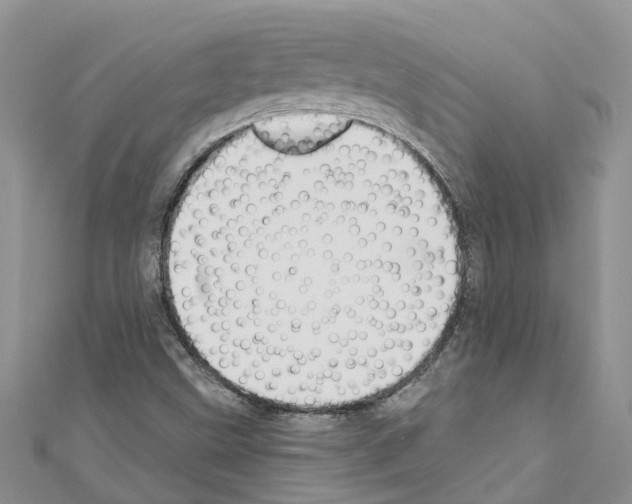 X0000110701499200907241114