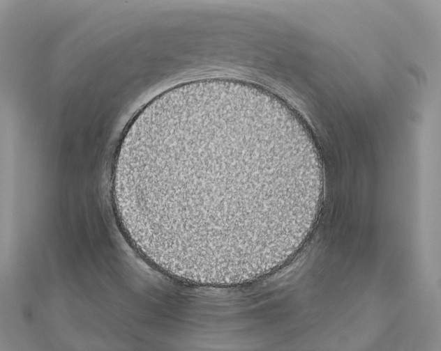 X0000110701500200907241114