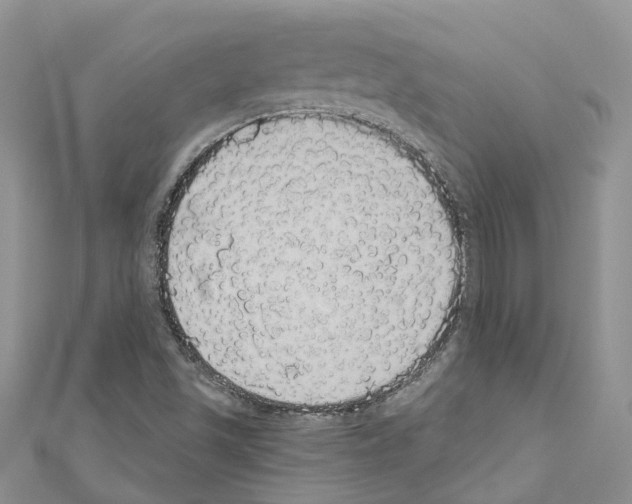 X0000110701501200907241114