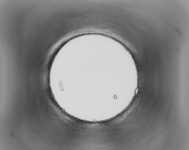 X0000110701502200907241114