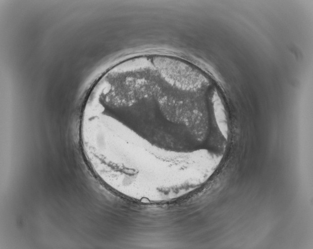 X0000110701504200907241114