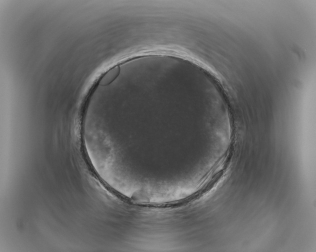 X0000110701506200907241114