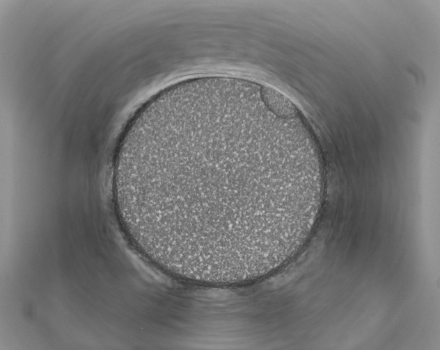 X0000110701507200907241114