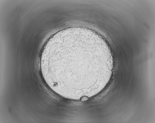 X0000110701509200907241114