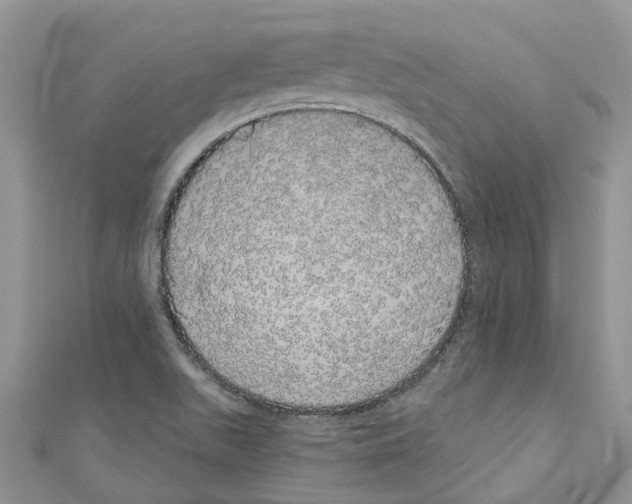 X0000110701511200907241114