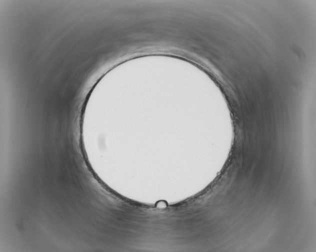 X0000110701512200907241114