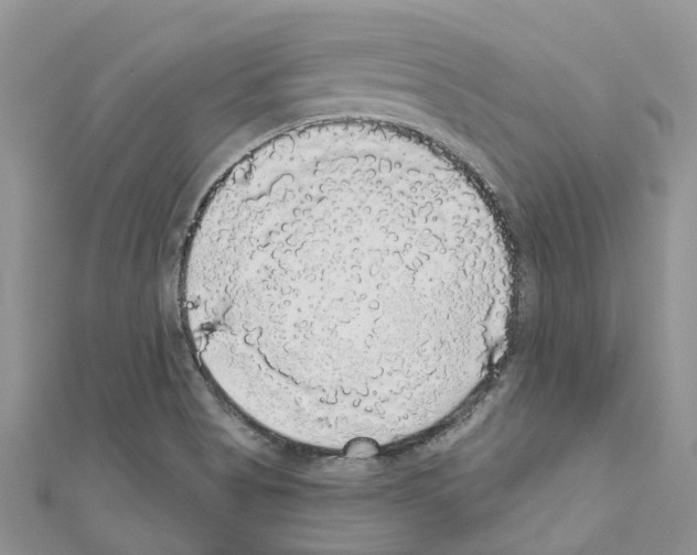 X0000110701513200907241114