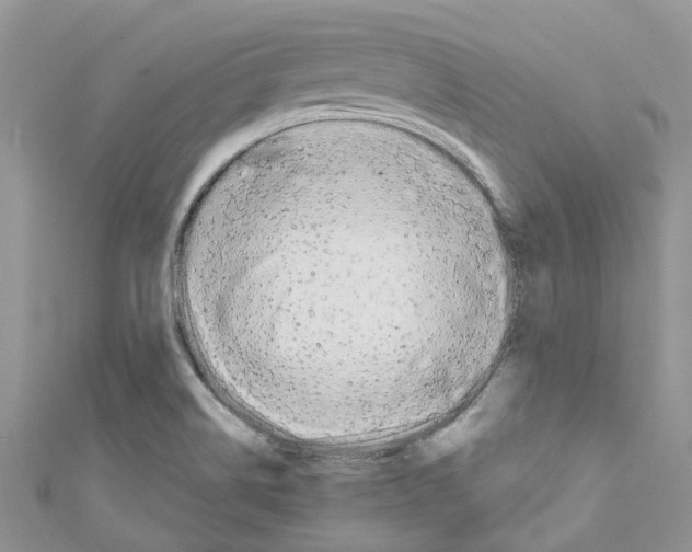 X0000110701514200907241114
