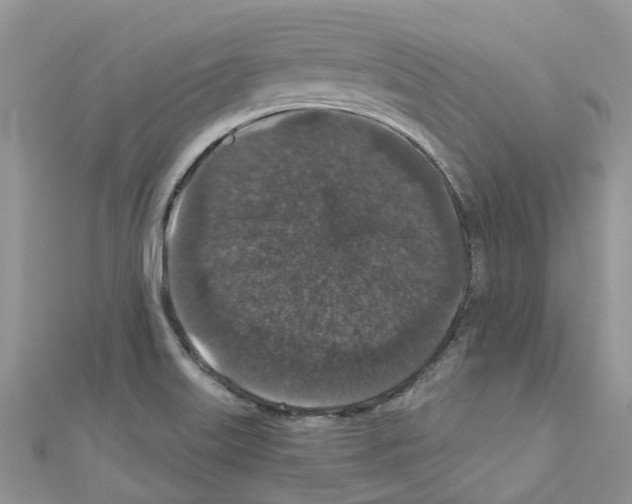 X0000110701515200907241114