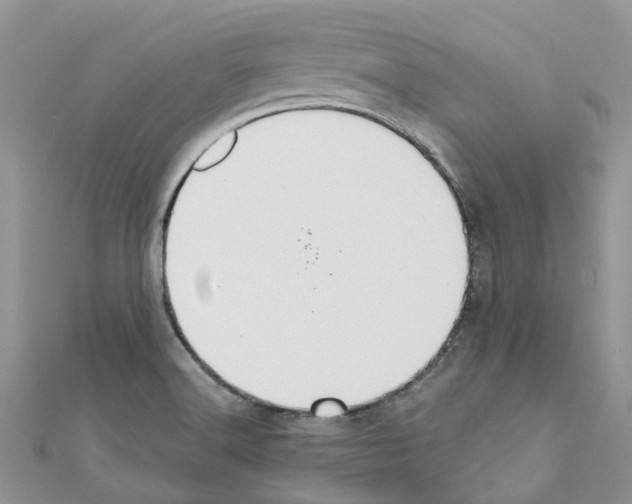 X0000110701516200907241114
