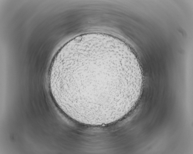 X0000110701517200907241114