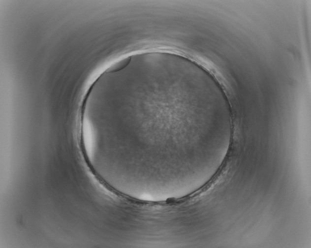 X0000110701520200907241114