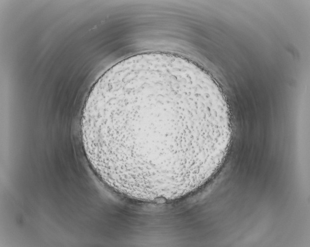 X0000110701521200907241114