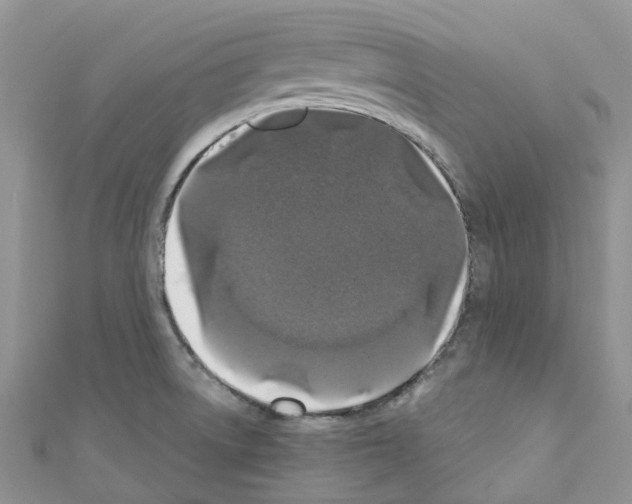 X0000110701522200907241114