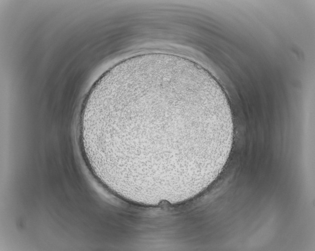 X0000110701523200907241114