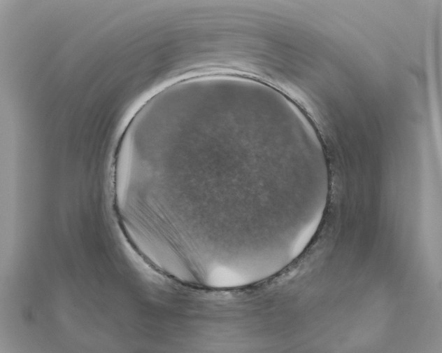 X0000110701524200907241114
