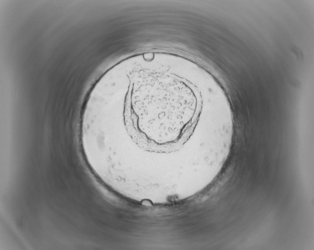 X0000110701525200907241114