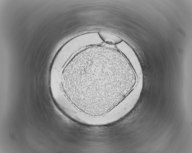 X0000110701527200907241114