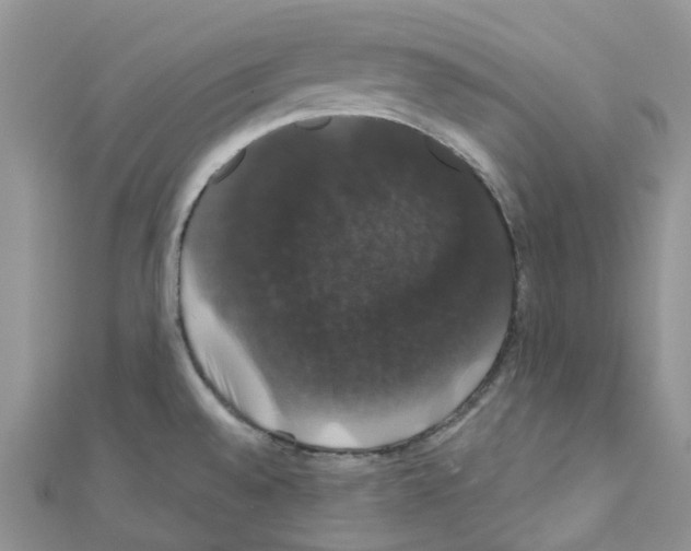 X0000110701528200907241114