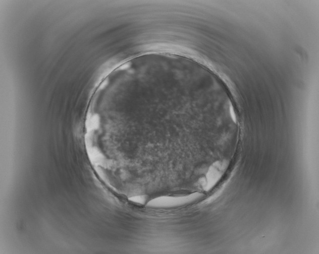 X0000110701529200907241114
