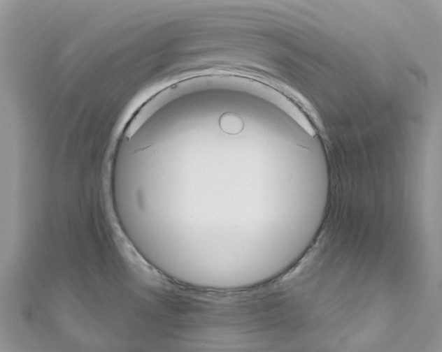 X0000110701530200907241114