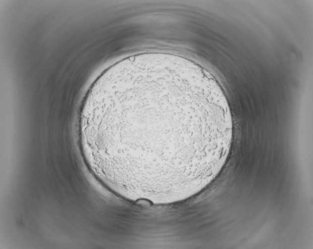 X0000110701531200907241114