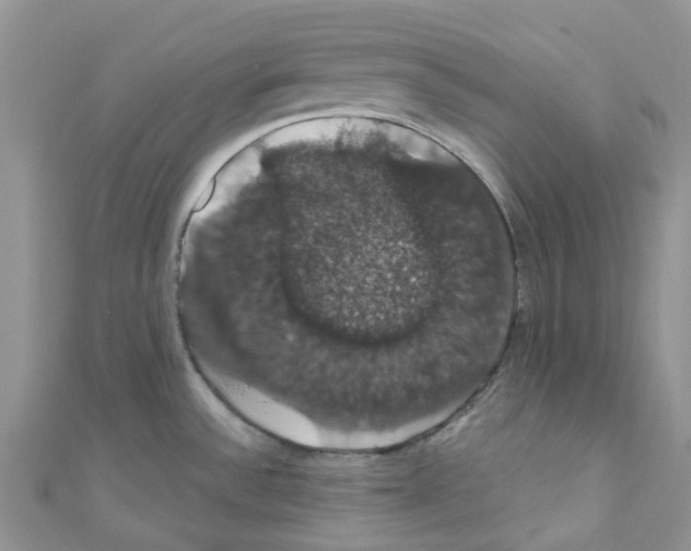 X0000110701532200907241115