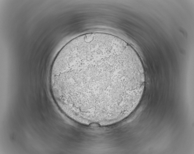X0000110701533200907241115