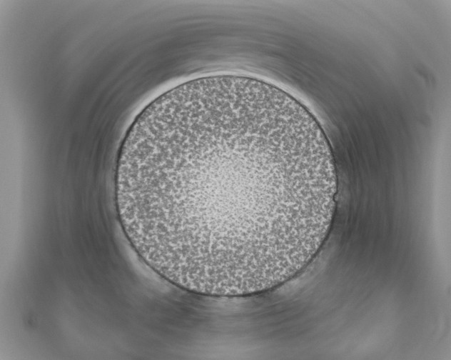 X0000110701534200907241115