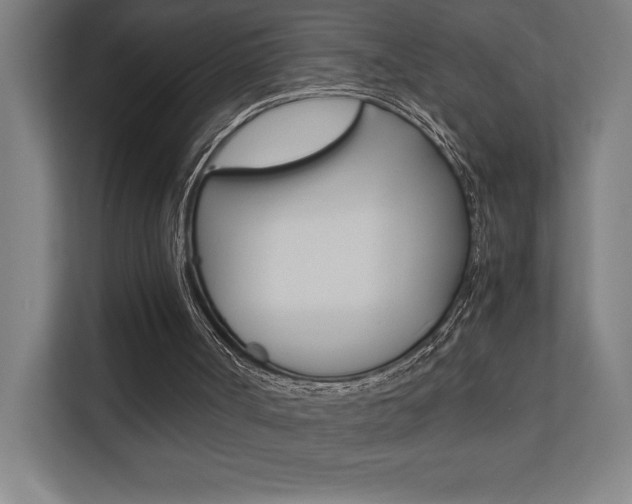 X0000110710002200906121105