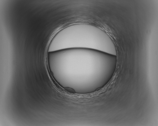 X0000110710003200906121105