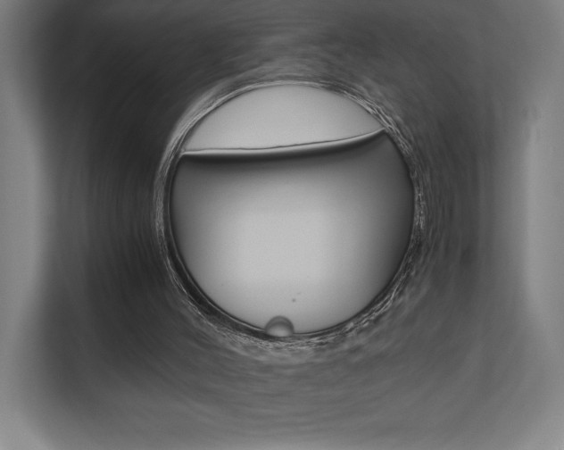 X0000110710004200906121105