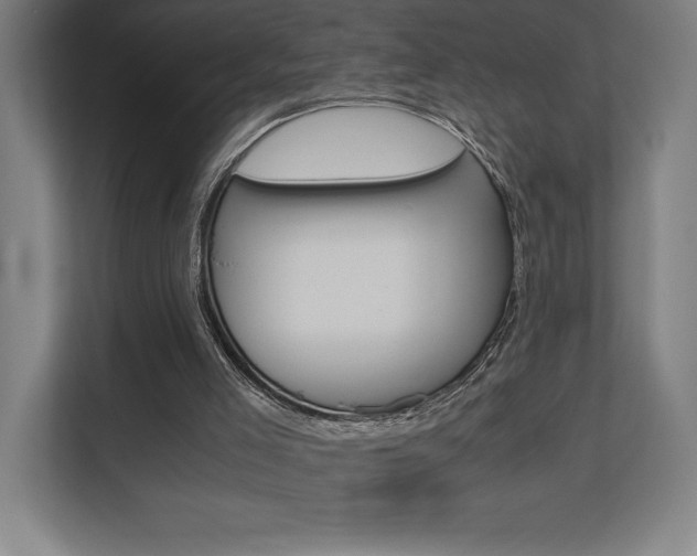 X0000110710005200906121105