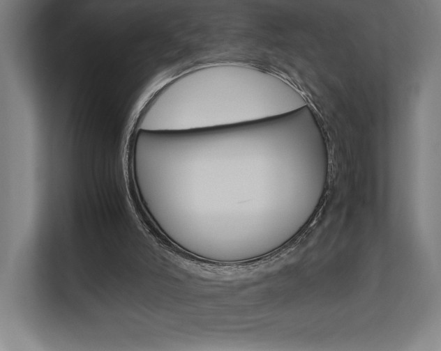 X0000110710006200906121105
