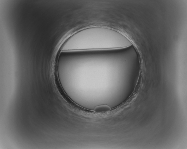 X0000110710007200906121105