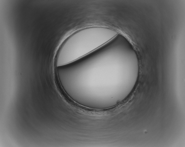 X0000110710008200906121105